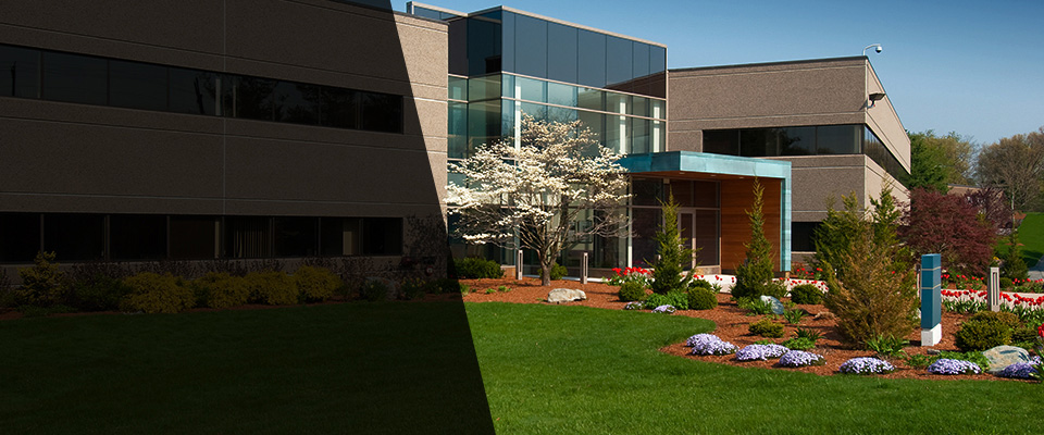 Buckhannon Landscapers