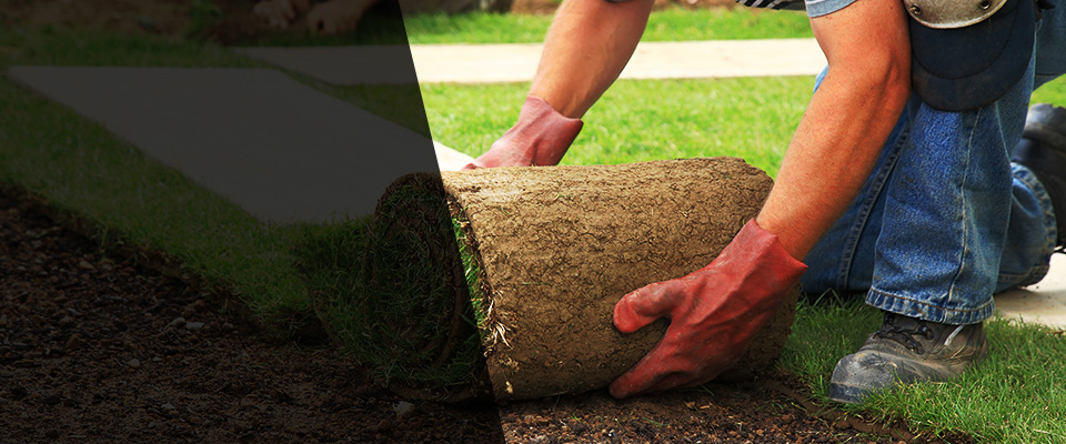 Buckhannon Landscapers